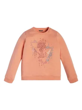 Fuji Sunrise Crystal Logo Jumper (7-16)