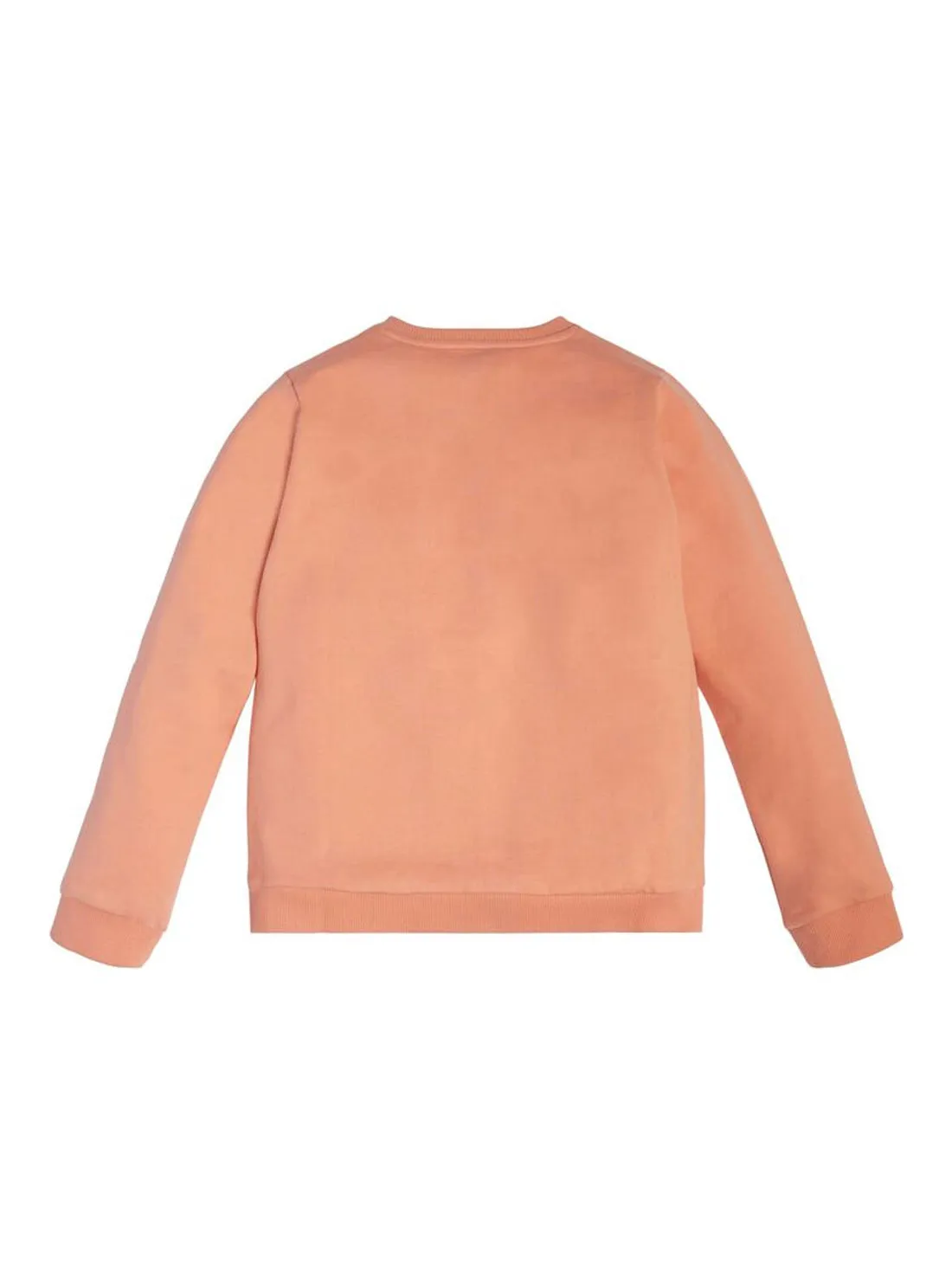 Fuji Sunrise Crystal Logo Jumper (7-16)